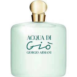 Giorgio Armani Acqua Di Gio Edt 100 ML Women's Perfume - Luxury Scents