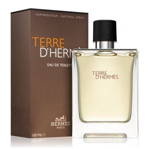Hermes Terre D'Hermes Edt 100 ML Men's Perfume - 1