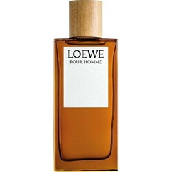 Loewe Solo Edt100 ML Men's Perfume - Luxury Scents