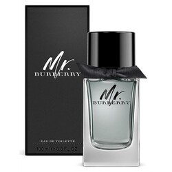 Mr. Burberry Edt 100 ML / 3.3 Fl.Oz. - Luxury Scents